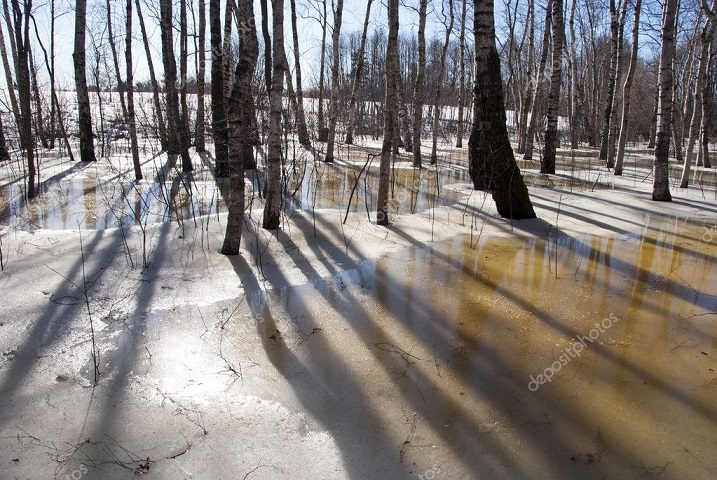 С солнечной стороны