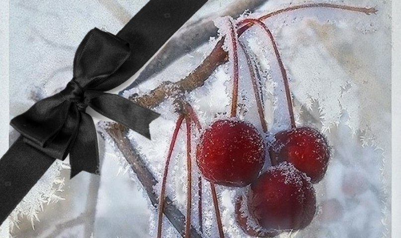 Зимняя вишня