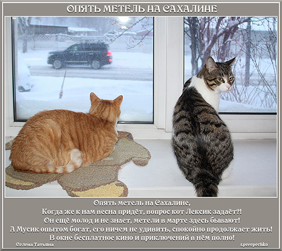 Опять метель на Сахалине