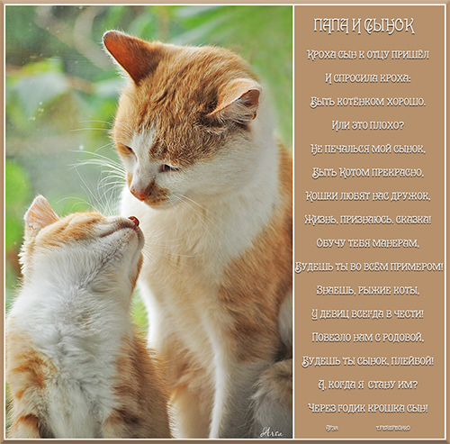 Папа и сынок