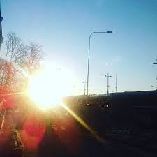 Свила зорька гнёздышко