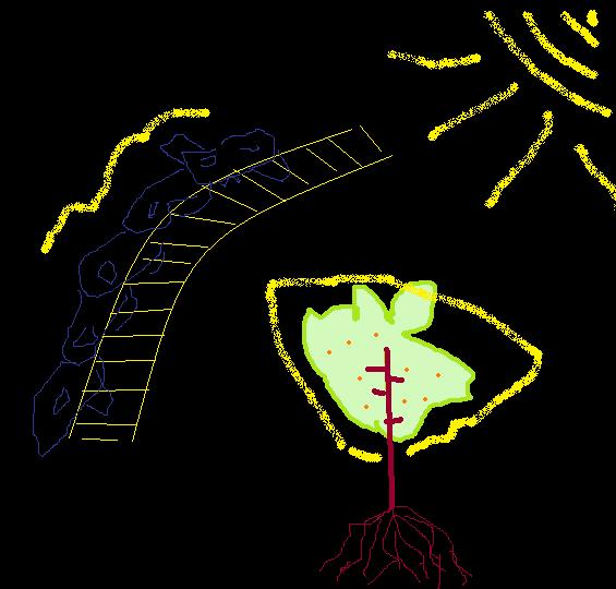 эпилептика. между пупом и сердцем
