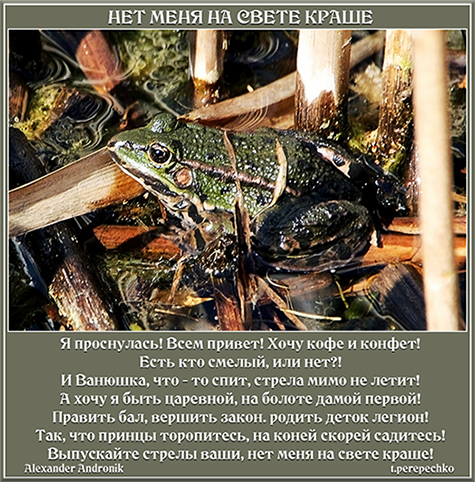 Нет меня на свете краше