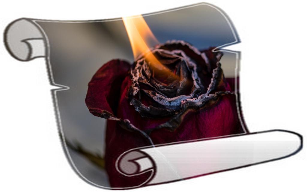 Потухшая звезда