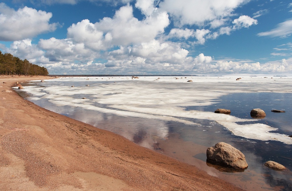 Финский залив соленая вода. Песчаные дюны финского залива. Сестрорецк залив. Пляж дюны в Сестрорецке. Песчаные дюны финский залив Репино.