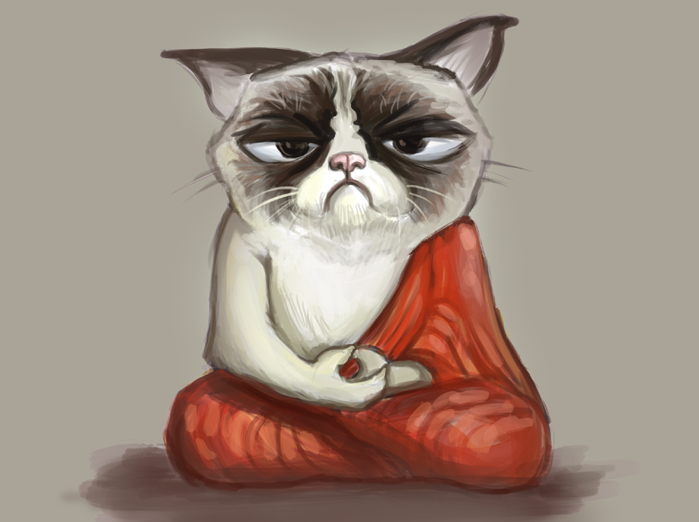 Кот медитирует рисунок