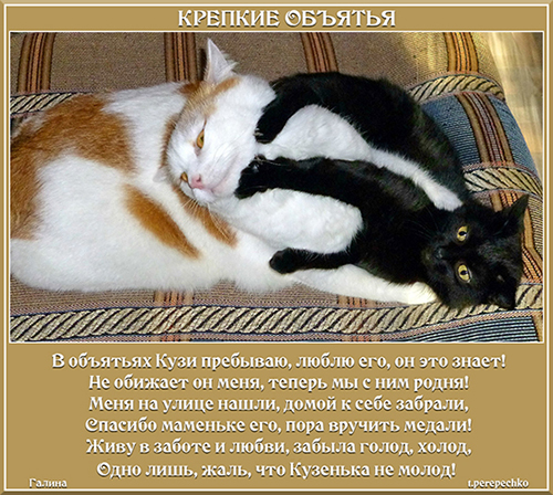 Крепкие объятья