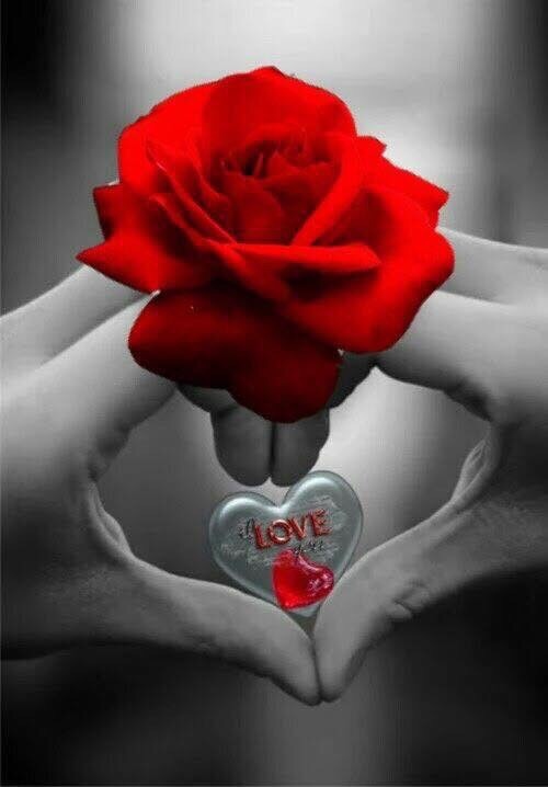 Вы берегите тех, кто любит вас Душою!..