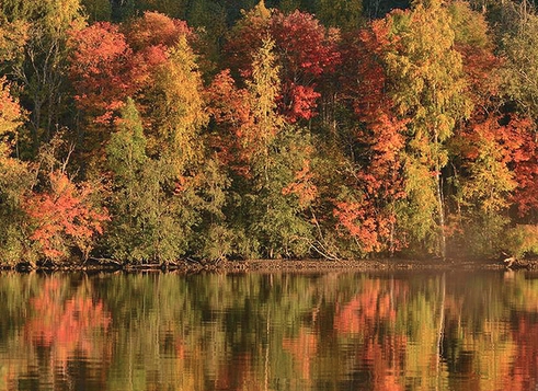 Рецензия на Зазывает осень посмотреться Шеховец Ва