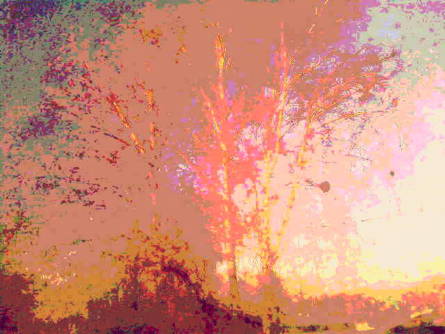 Последний лист