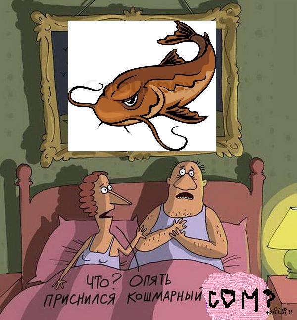 Поспеши, бессонница!