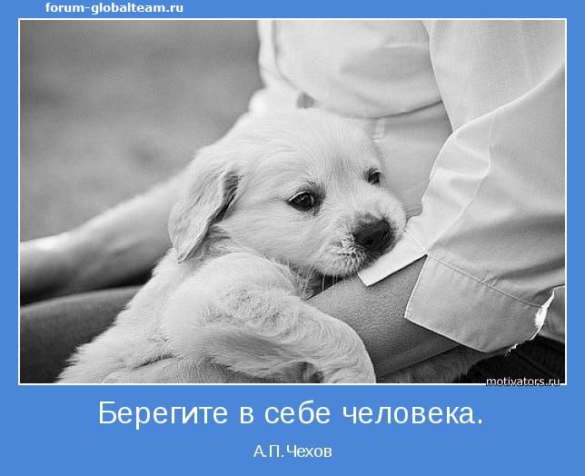 В странном мире живём мы однако...