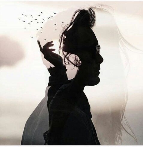 Джонатан Ливингстон