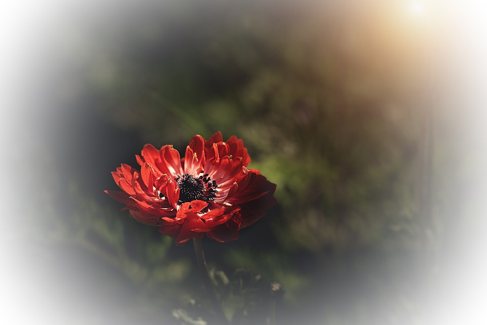 Девушка из шёлка