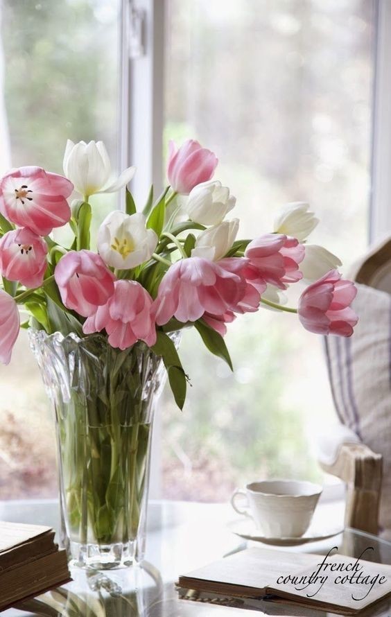 Photography - Still Life Wallpaper Table, Tea wallpaper, Rose vase
