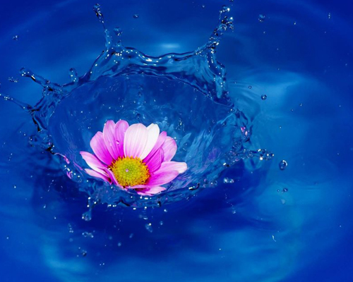 Хотеть не вредно