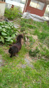 Апрель в лесу