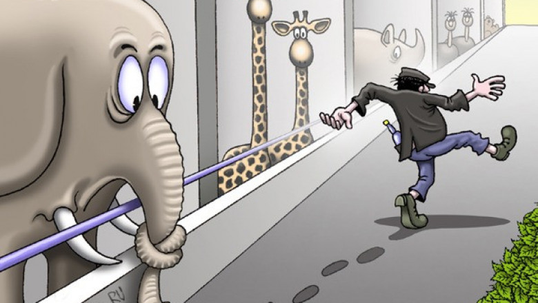 Вперед за приключениями картинка