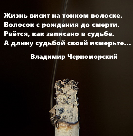 На волоске судьба твоя. Жизнь висела на волоске. Жизнь на волоске от смерти. Когда жизнь висит на волоске. На волоске.