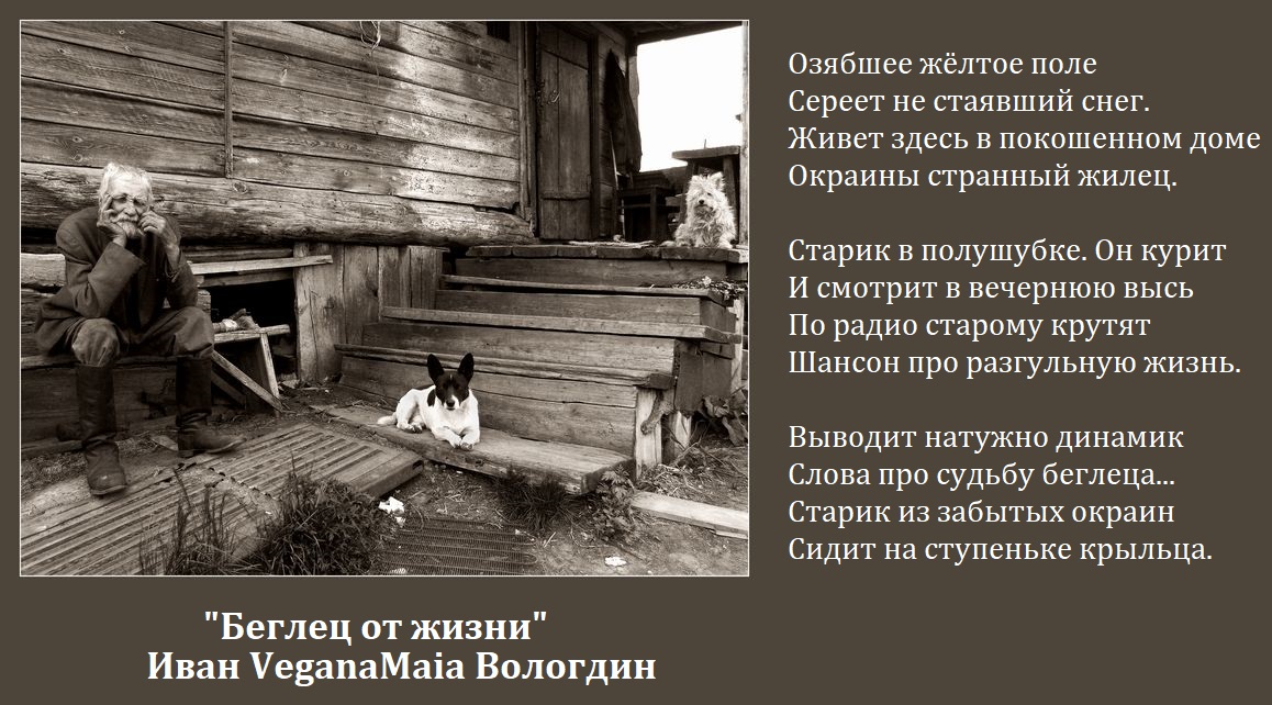 Домик на окраине текст. Стих Озябшее письмо. Стих Вологдин.