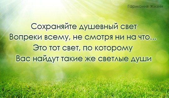 Жизнь продолжается несмотря ни на что картинки