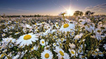 Я Вас не знаю...