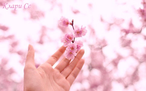 Жизни акварель