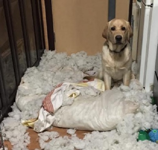 Дрюне с любовью!