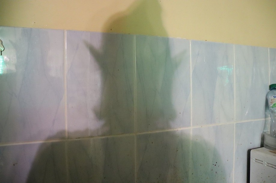 Долго мечтала