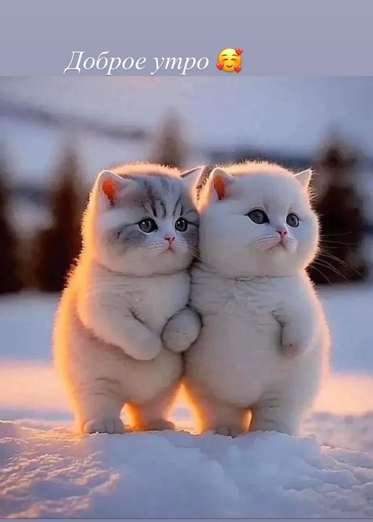 Принц-Апрель