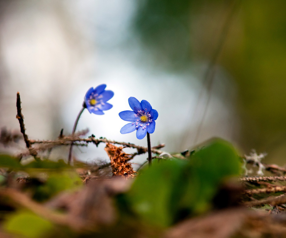 Апрель идет...