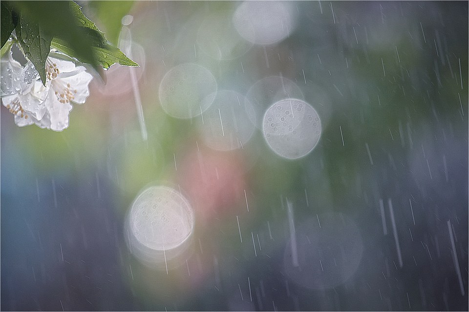 Дождик ласково. Весенний дождь. Нежный дождик. Дождь нежность.