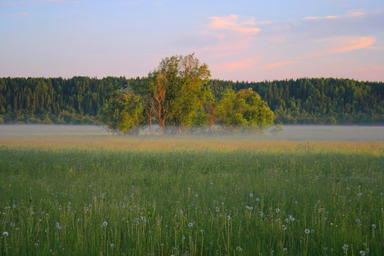 пока лучи горят над полем... (Анна Опарина) / Стихи.ру