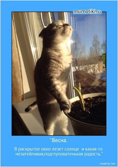 Весеннее солнце