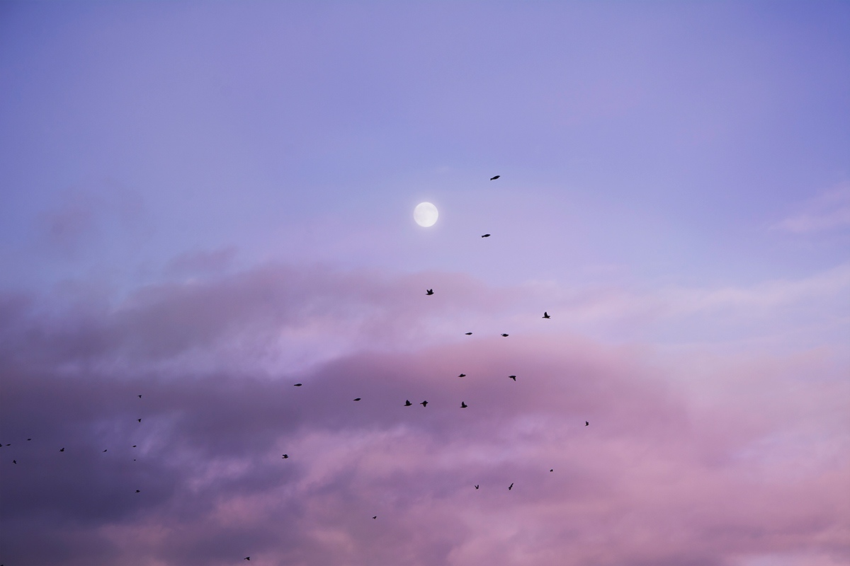 Проветренная лирика (Наташа Ветер Рыжкова) / Стихи.ру