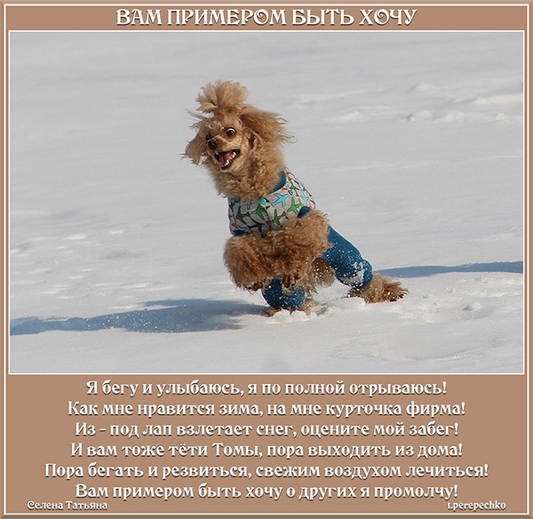 Вам примером быть хочу