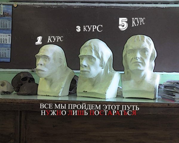 Студенческая