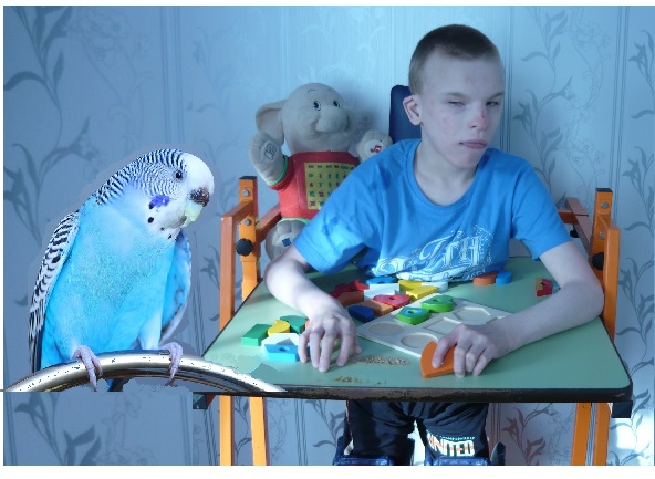 Попугай Жорка и слепой мальчик Даня