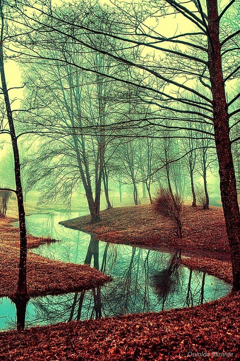 Медно-винной листвою усыпанный берег (Илья Волотов) / Стихи.ру