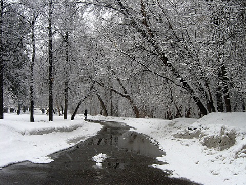 В нашем городе снег!