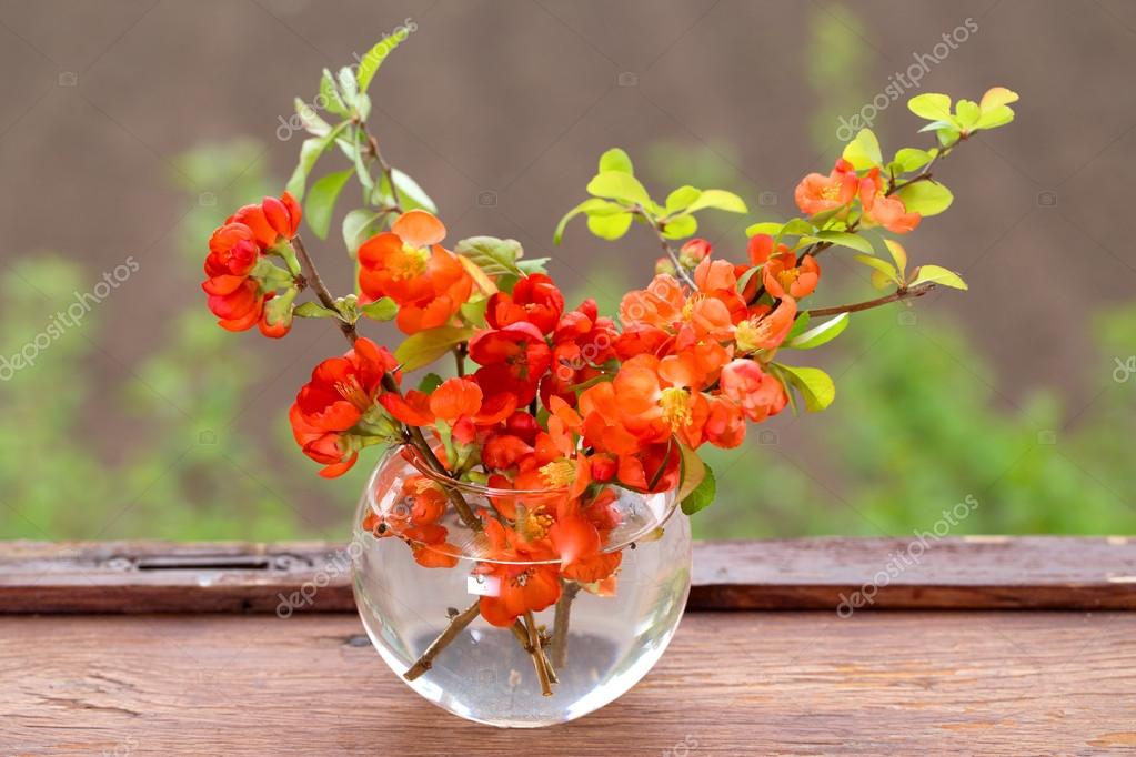 Не покидай, Господь, меня!