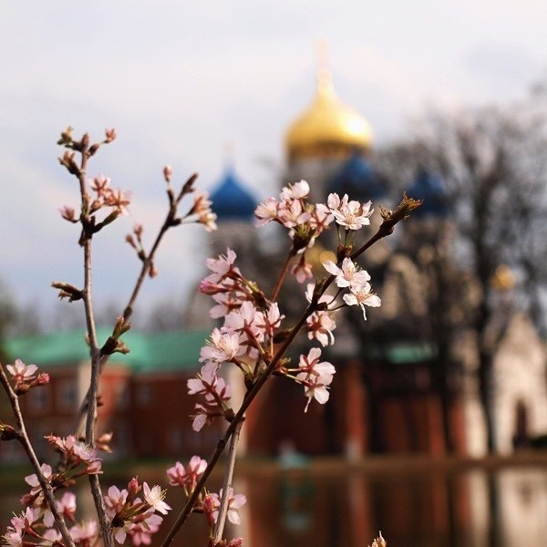 Сверьте результаты!