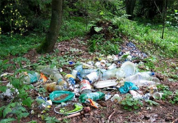 Ты человек???