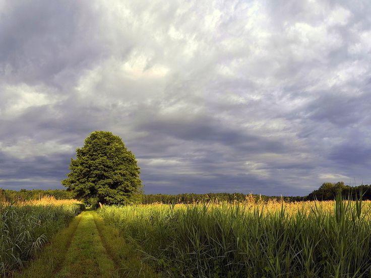 Голосование. Догоняю горизонт. Конкурс ассоциаций