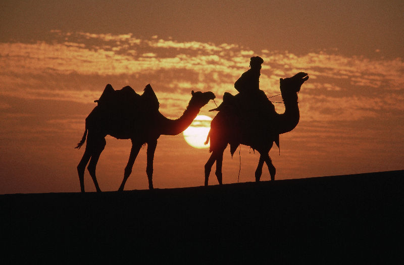 Прикованы мы к планете