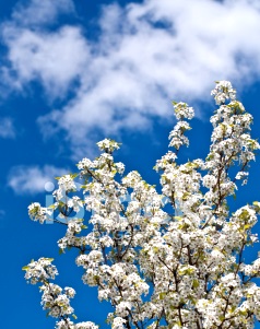 А она уже считает мили