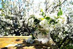 Шумит в саду апрель-проказник