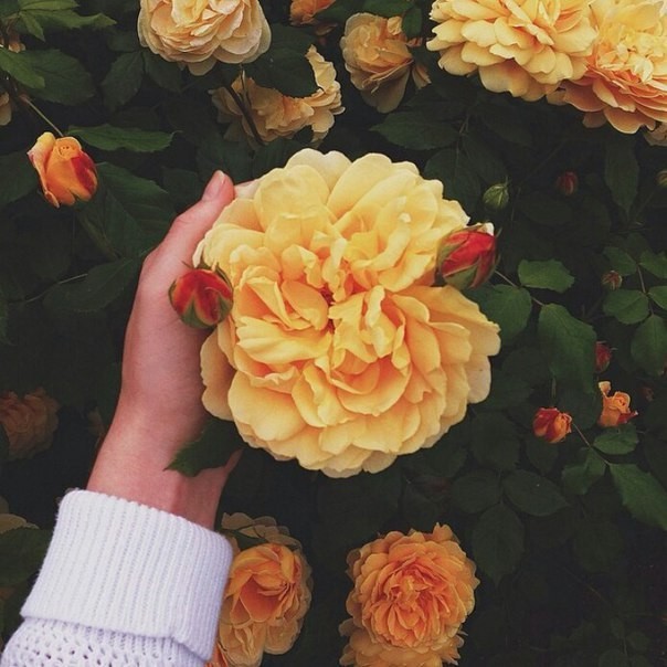 Исламское понимание человека