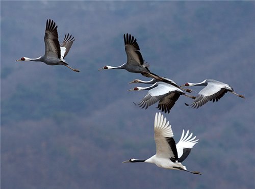 В связке жизнь и любовь