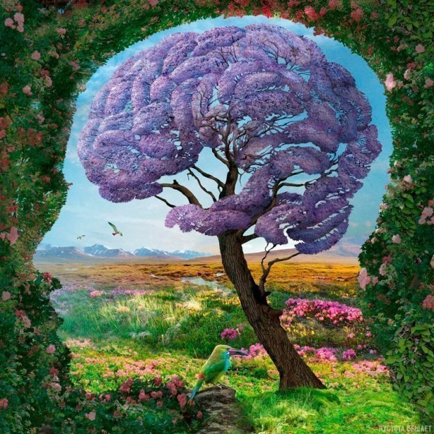 От милых Алис остаются волшебные кружки